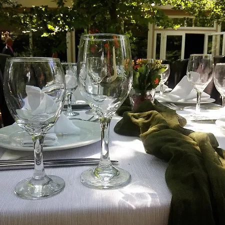 Pantelidis & 3*